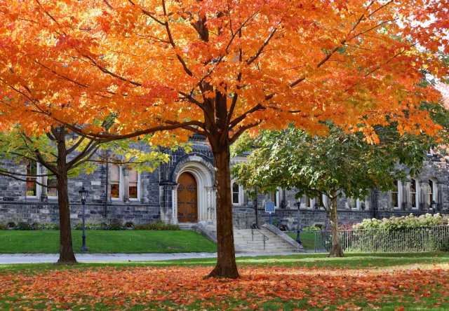 On-Demand Webinar: Why Now? Academic Affairs Leaders on Digital Transformation