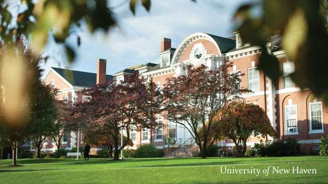 University of New Haven expands use of faculty search platform to include staff hiring